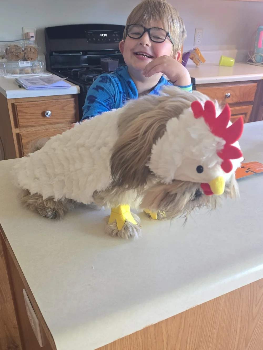 Hyde & Eek Chicken Costume For Pets
